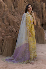 Rang Rasiya Premium Edit'25 Nadia