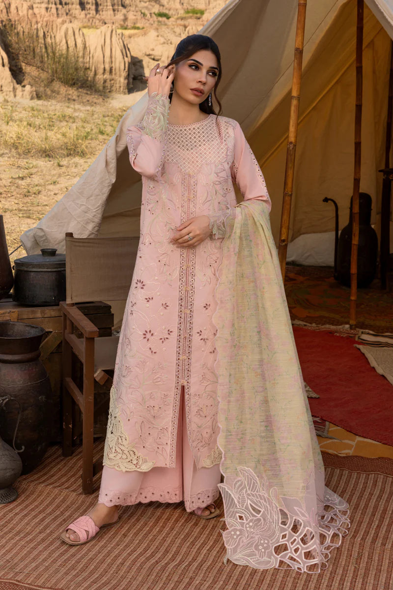 Rang Rasiya Premium Collection`25 D-01 Nehal