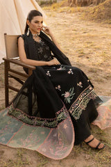 Rang Rasiya Premium Edit'25 Zoya