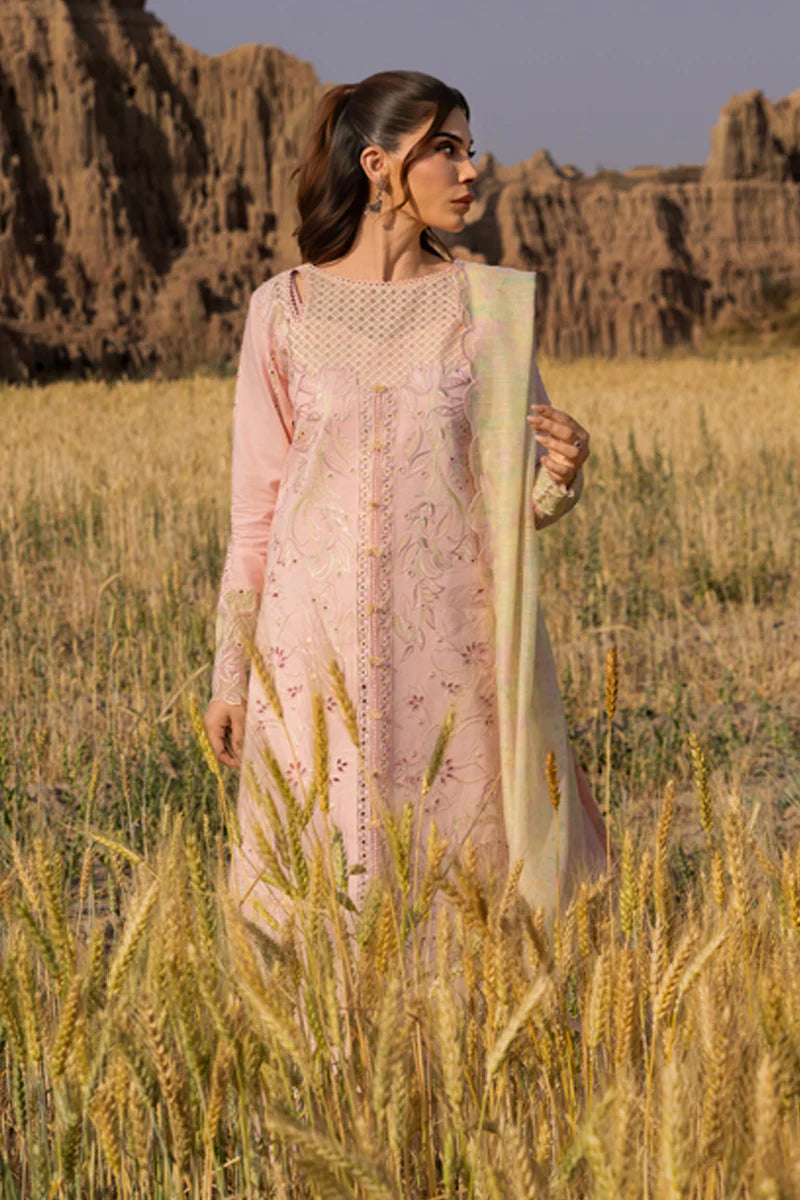 Rang Rasiya Premium Collection`25 D-01 Nehal