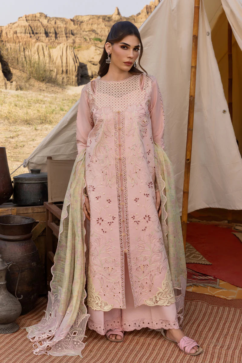 Rang Rasiya Premium Collection`25 D-01 Nehal