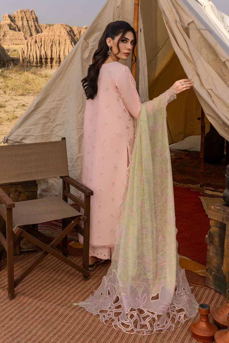 Rang Rasiya Premium Collection`25 D-01 Nehal