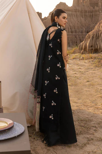 Rang Rasiya Premium Edit'25 Zoya