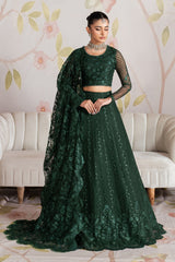 Shehnai By Zarif Luxury Wedding Edit (MEESAM)