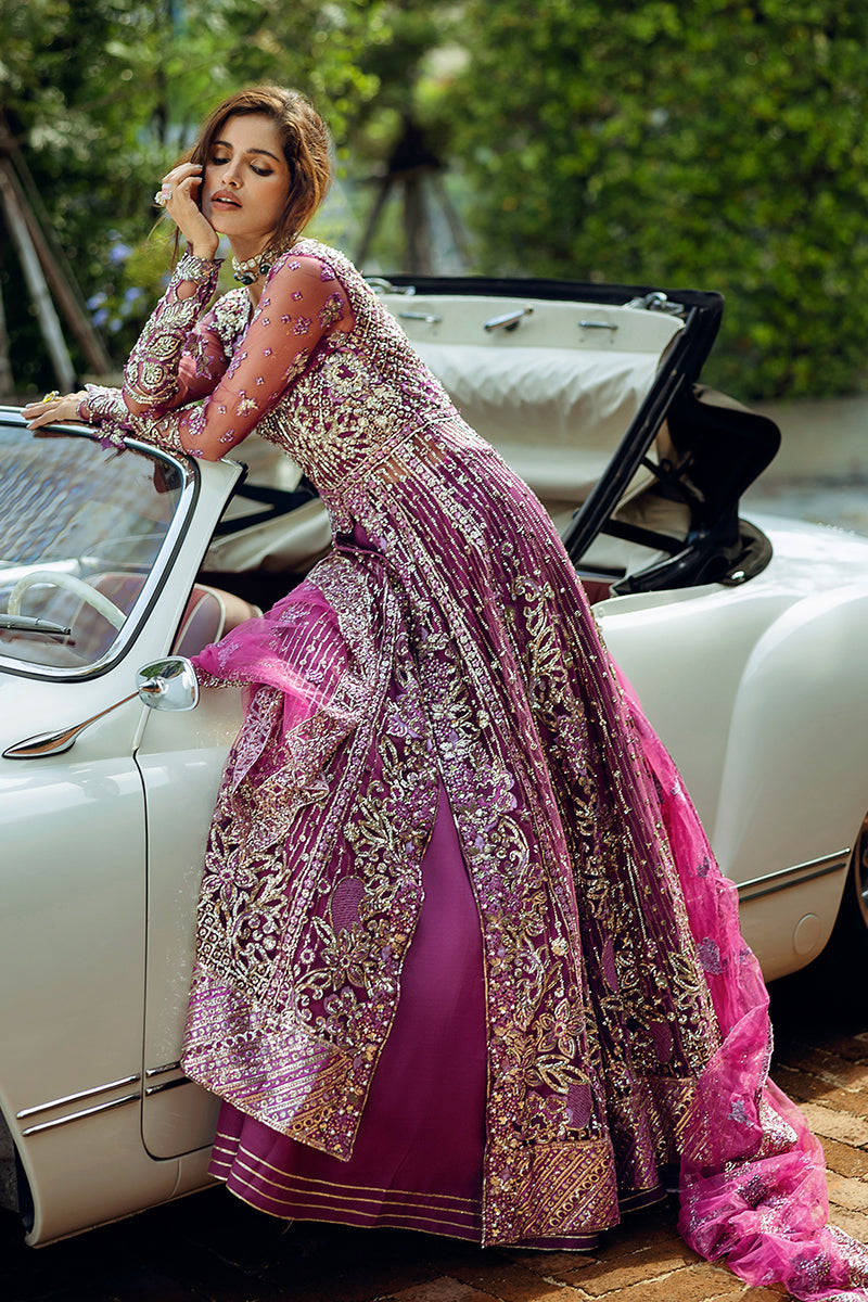 Stardust By Mushq | Starstruck Elegance