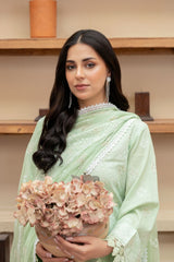 Raeesa Premium | Noor E Fajar | Marwa | NF - 1393