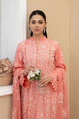 Raeesa Premium | Noor E Fajar | Marwa | NF - 1395