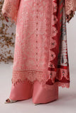 ALLURE'26 By Naqsh ( Flamingo Pink-00291)