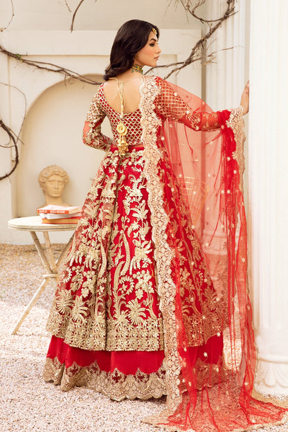 Aanchel Brides by Zainab Manan (Enchanting Elegance ZMB-03)