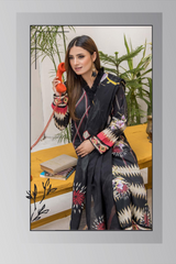 Zareen Vol-15 By Milli fashion Collection`25 D-01