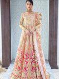 Maryum N Maria Freesia Wedding Organza 3pc Suit F-04 Sangria Savor