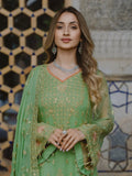 AL Kousar Festive Chiffon Collection 2026 by AHMAD EMBROIDERY (DD-07)