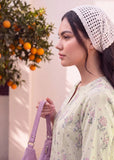 Tehzeeb - Cords Edit By Zeenia (Nooraq)