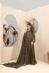 Oriana by Tawakkal (D-8249)