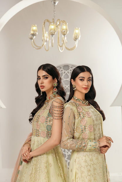 Gul Mira by House Of Nawab (MEHARMA)