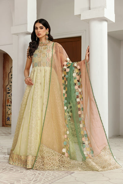 Gul Mira by House Of Nawab (MEHARMA)