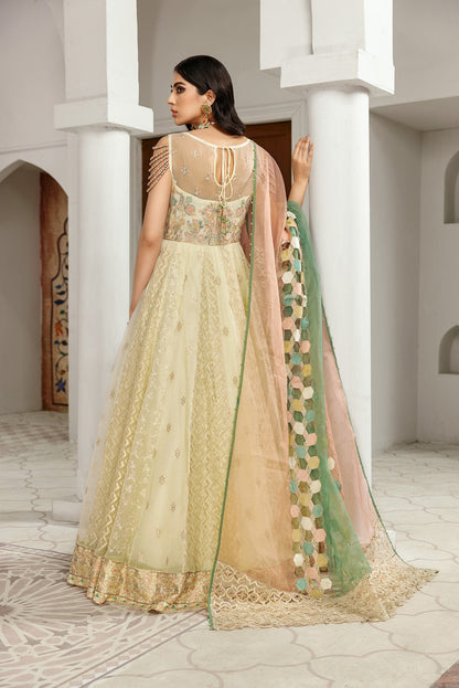 Gul Mira by House Of Nawab (MEHARMA)