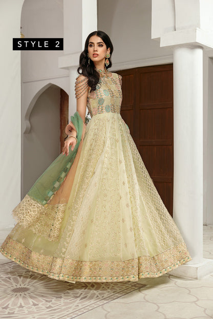 Gul Mira by House Of Nawab (MEHARMA)