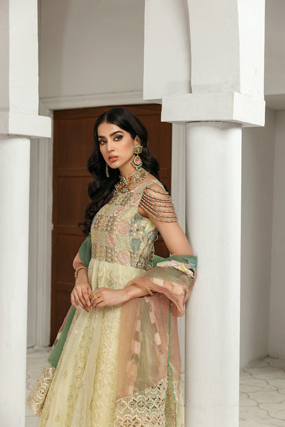 Gul Mira by House Of Nawab (MEHARMA)